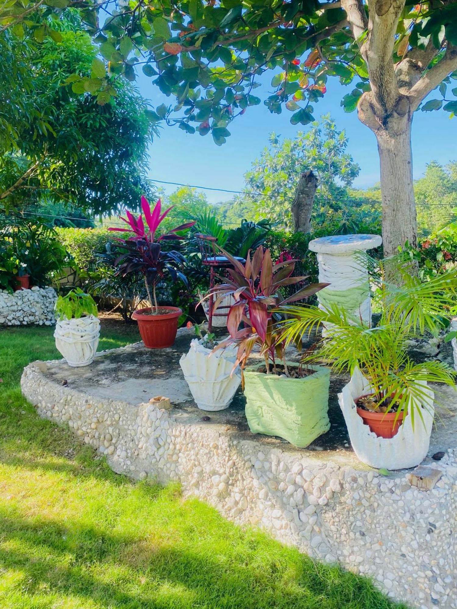 Cindy'S Garden Stay โอโชรีโอส ภายนอก รูปภาพ